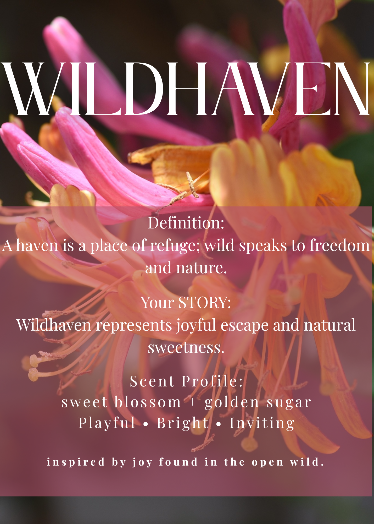 Wildhaven Hand Soap