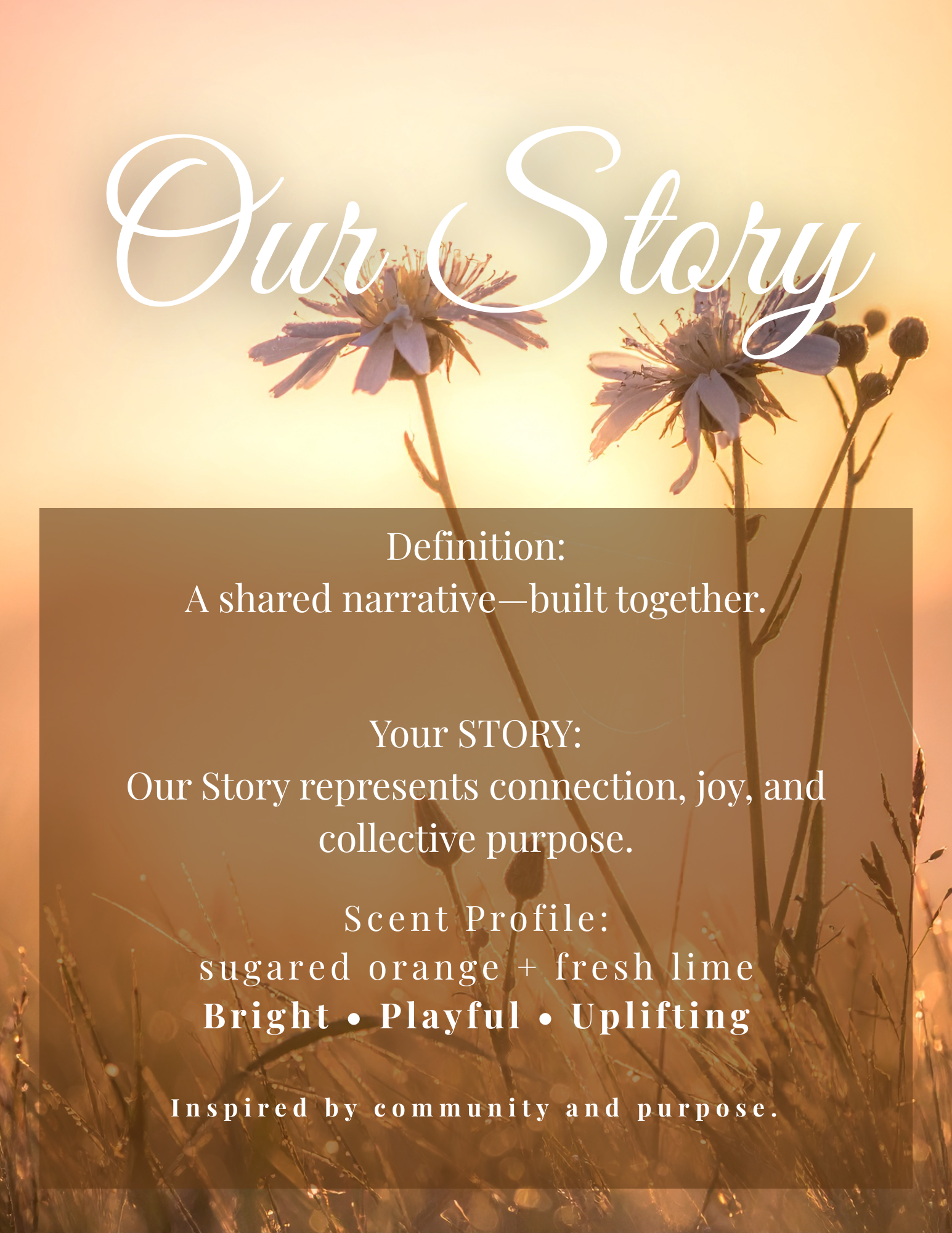 Our Story Whipped Soap