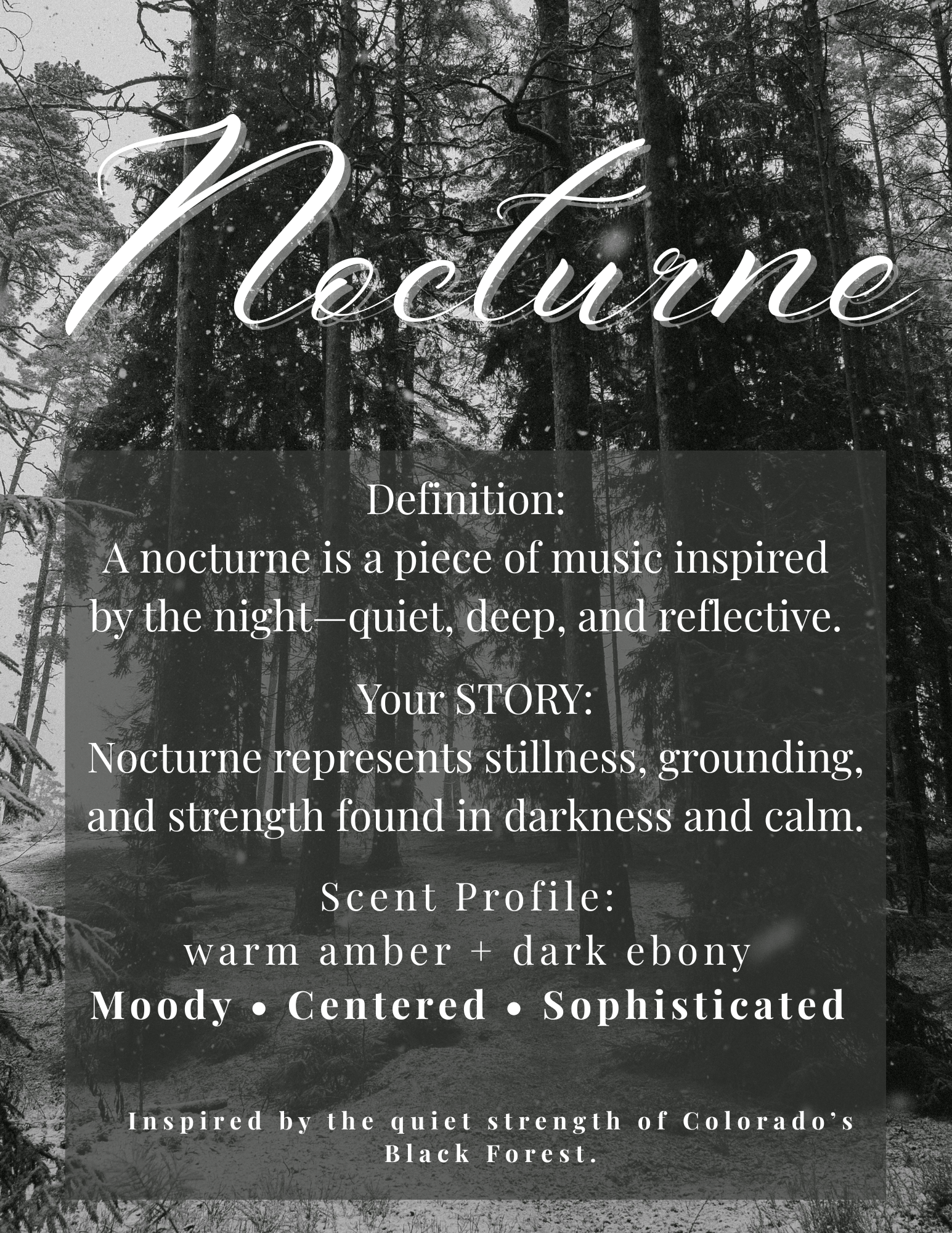 Nocturne Whipped Soap